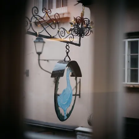 artHotel Blaue Gans-3