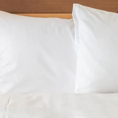 Holiday Inn - Salzburg City By Ihg-2